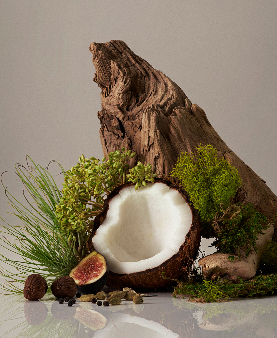 Coconut, fig, and greenery on a neutral background