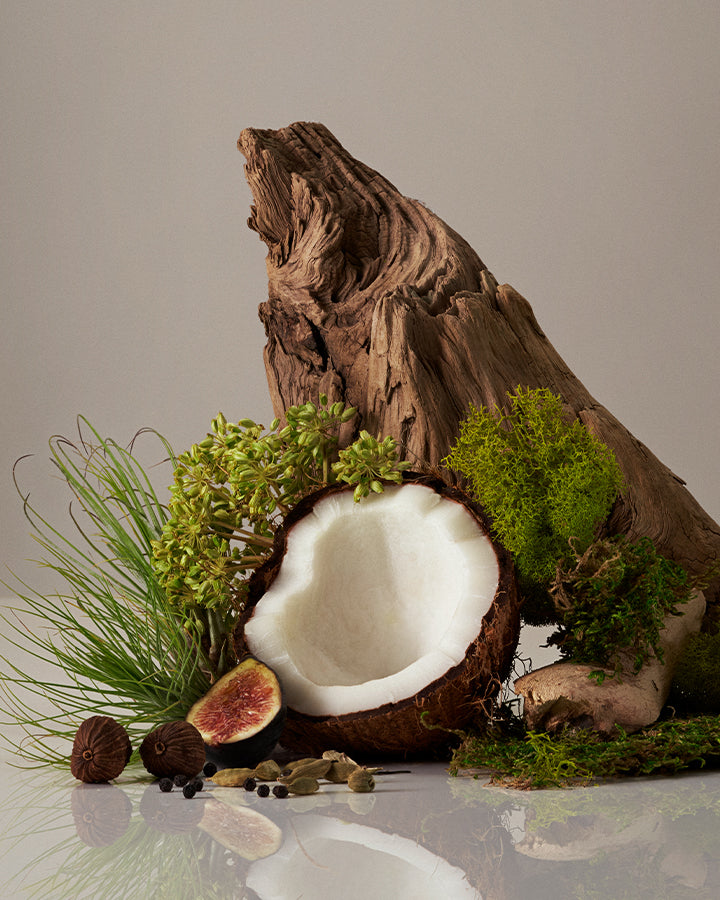 Coconut with a piece cut out, surrounded by greenery and a wooden log on a neutral background