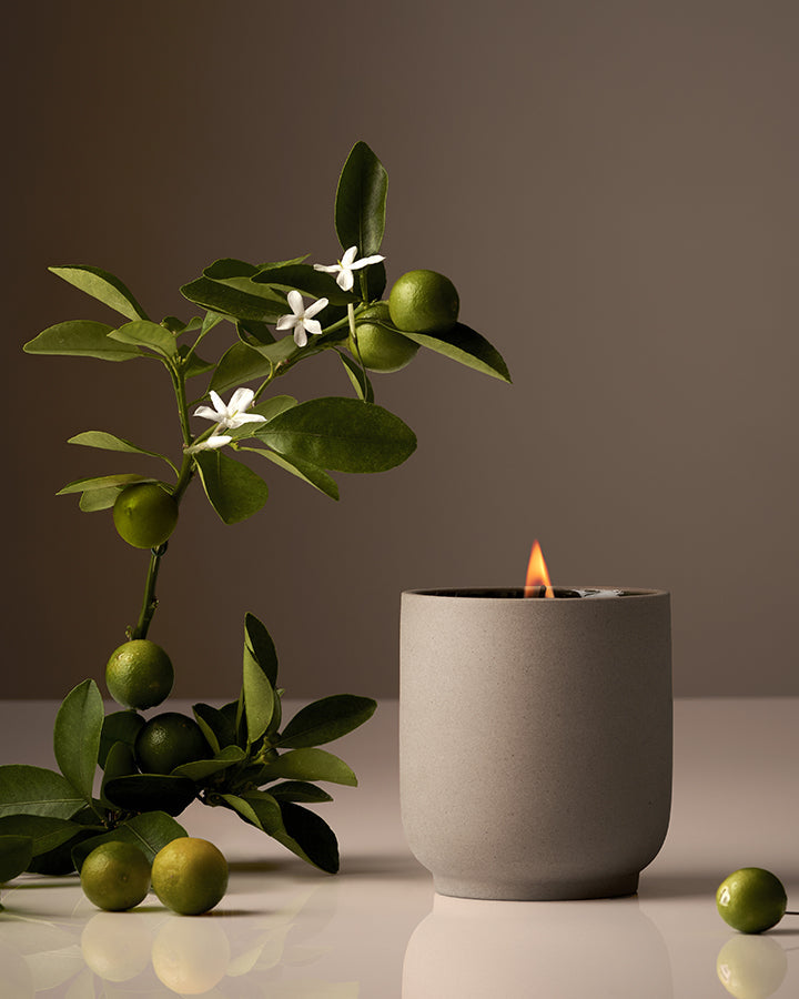 Candle in a gray container with a plant and fruits on a reflective surface