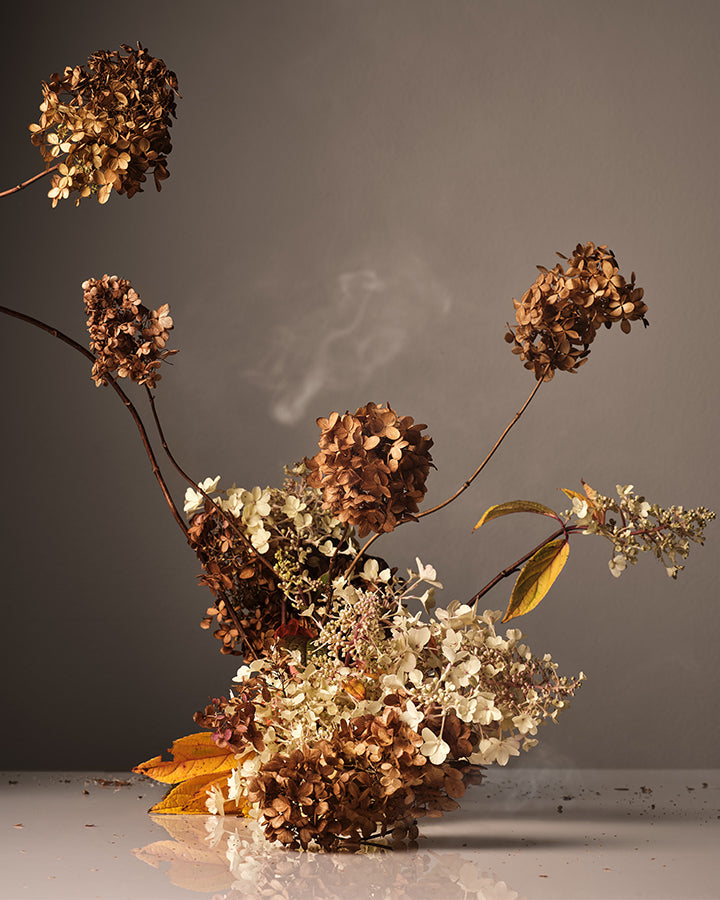 Dried flowers on a reflective surface with a dark background