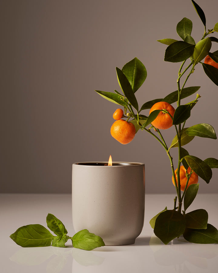Candle in a white pot with a branch of oranges and leaves on a neutral background