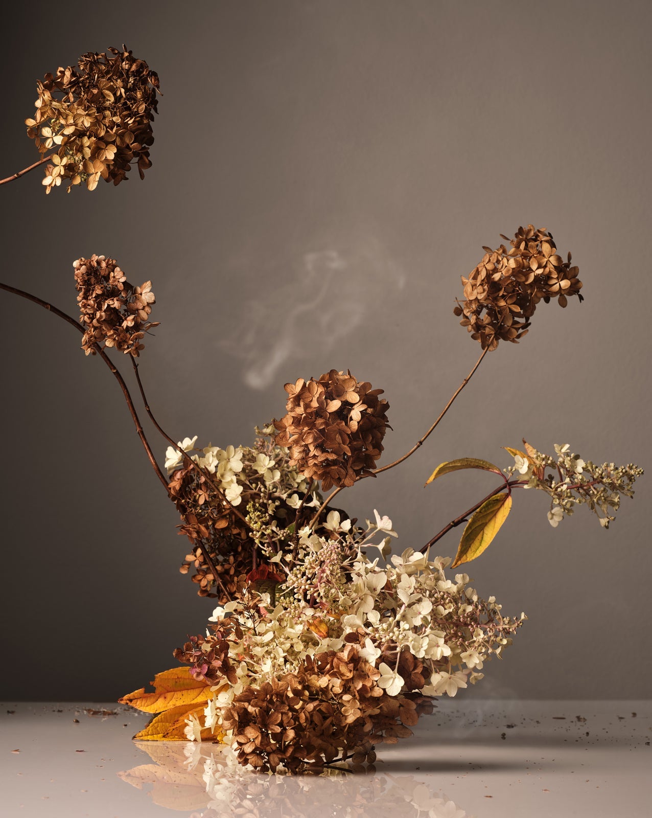 Dried flowers on a reflective surface with a dark background