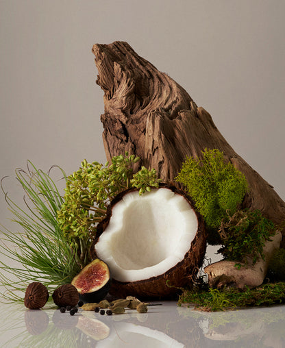 Coconut, fig, and greenery on a neutral background
